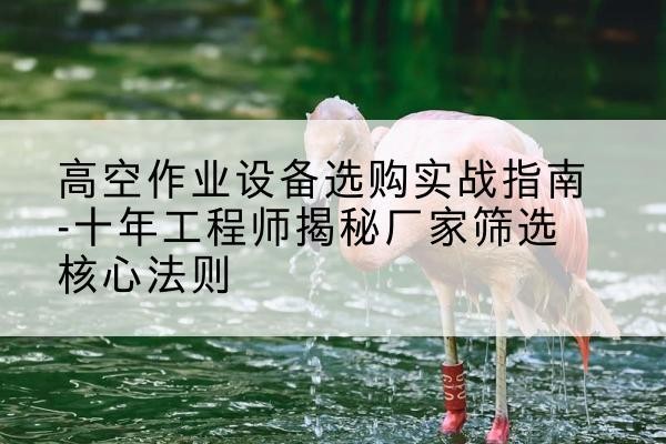 渭滨剪叉式升降机厂家-高空作业设备选购实战指南-十年工程师揭秘厂家筛选核心法则