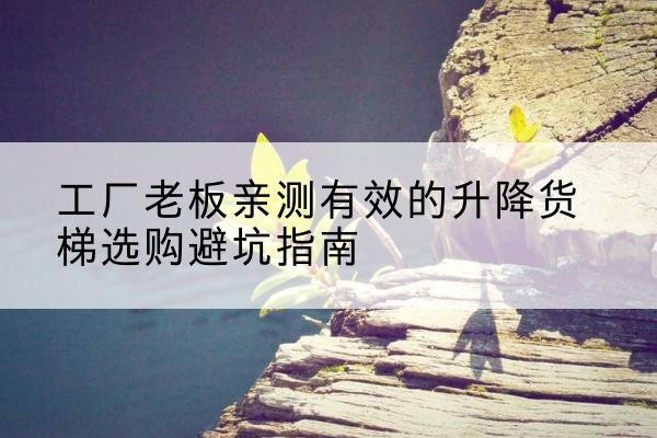 渭滨升降货梯怎么选-工厂老板亲测有效的升降货梯选购避坑指南