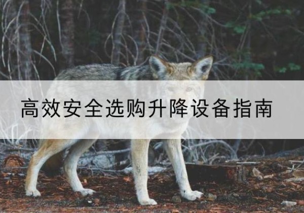 渭滨升降货梯厂家推荐-*安全选购升降设备指南