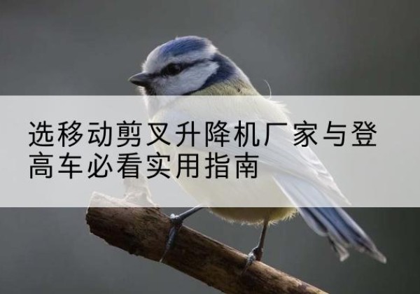 渭滨电动升降机厂家-选移动剪叉升降机厂家与登高车必看实用指南