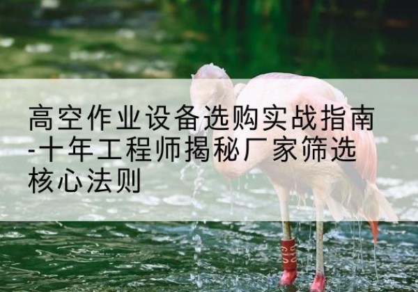 渭滨剪叉式升降机厂家-高空作业设备选购实战指南-十年工程师揭秘厂家筛选核心法则