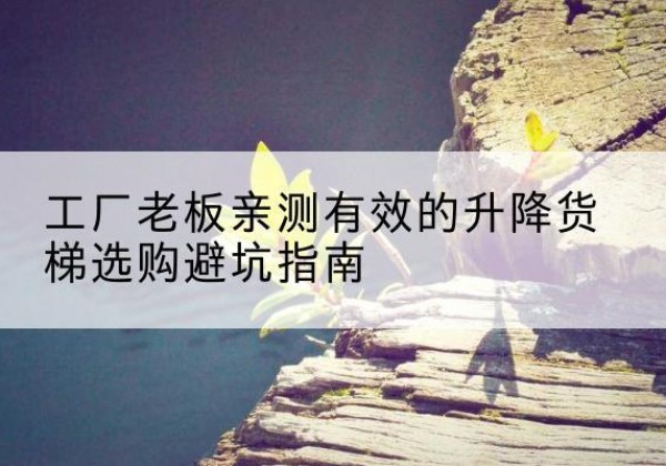 渭滨升降货梯怎么选-工厂老板亲测有效的升降货梯选购避坑指南